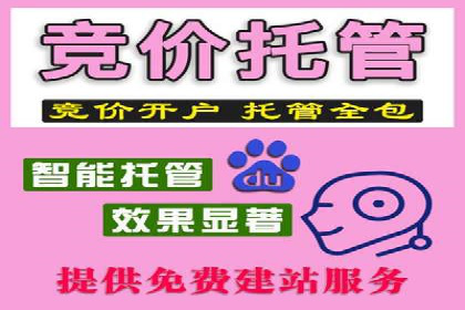 案例分享：SEM托管实现企业品牌推广